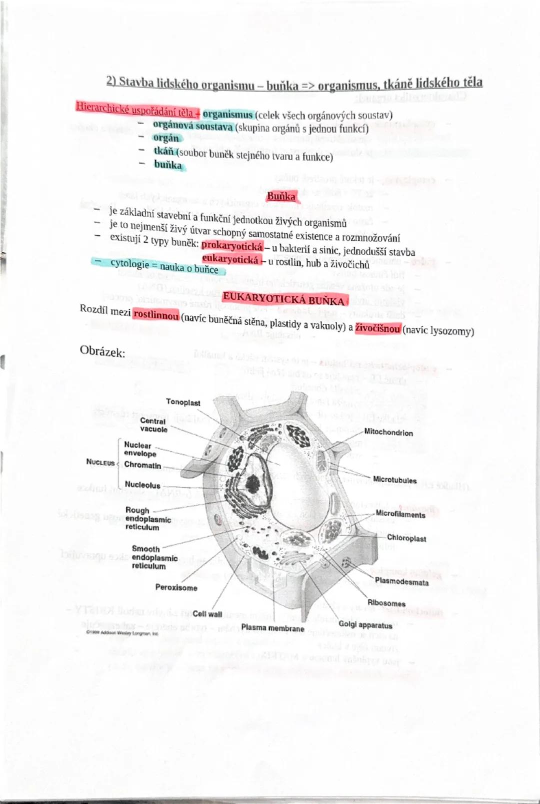1
2) Stavba lidského organismu - buňka => organismus, tkáně lidského těla
Hierarchické uspořádání těla - organismus (celek všech orgánových 