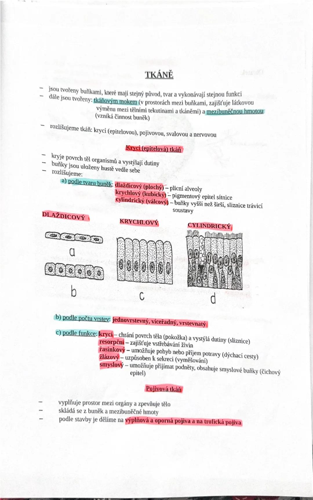 1
2) Stavba lidského organismu - buňka => organismus, tkáně lidského těla
Hierarchické uspořádání těla - organismus (celek všech orgánových 