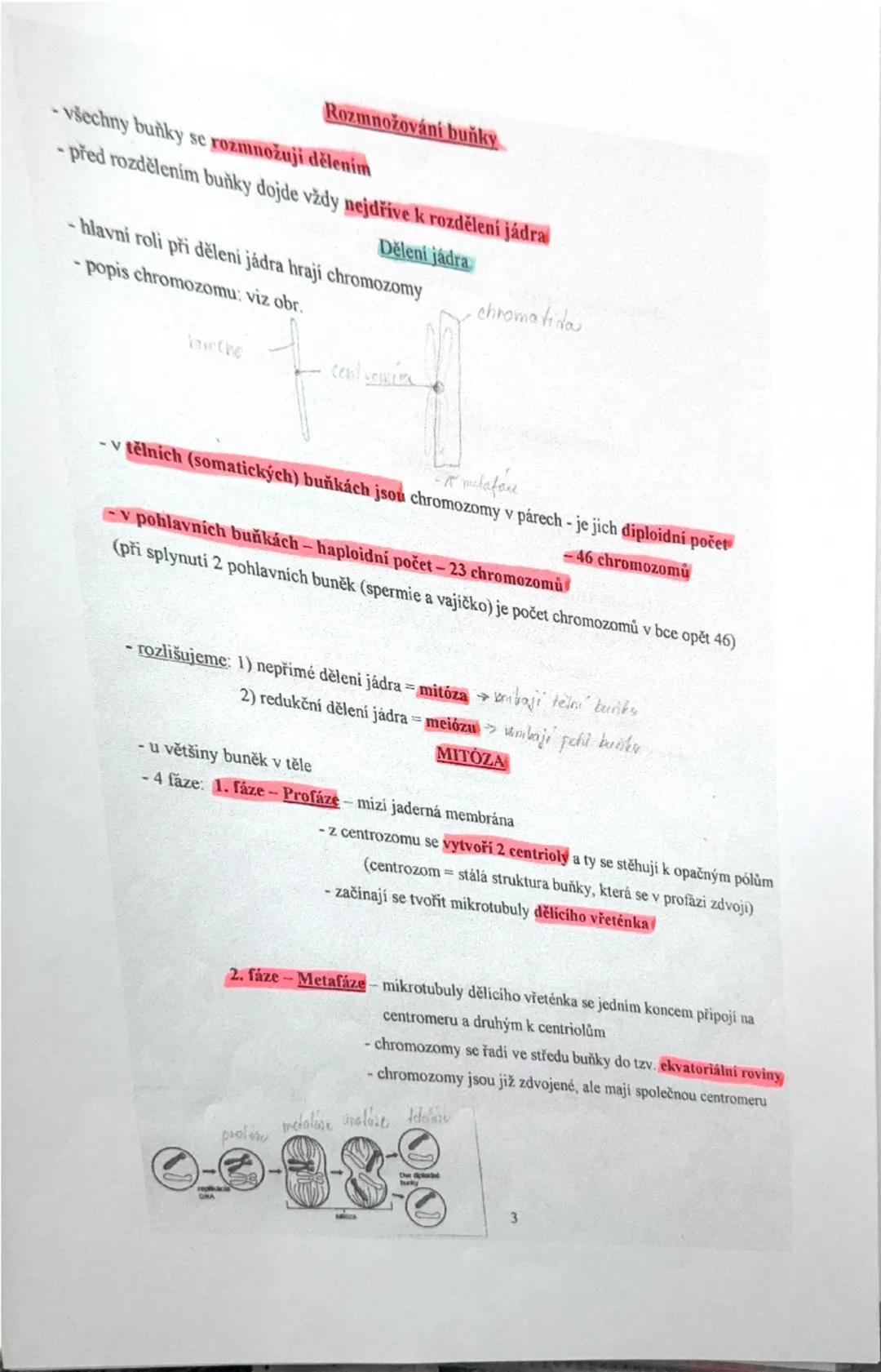 1
2) Stavba lidského organismu - buňka => organismus, tkáně lidského těla
Hierarchické uspořádání těla - organismus (celek všech orgánových 
