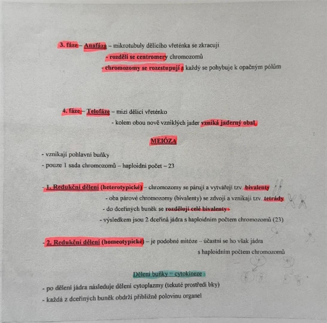 1
2) Stavba lidského organismu - buňka => organismus, tkáně lidského těla
Hierarchické uspořádání těla - organismus (celek všech orgánových 