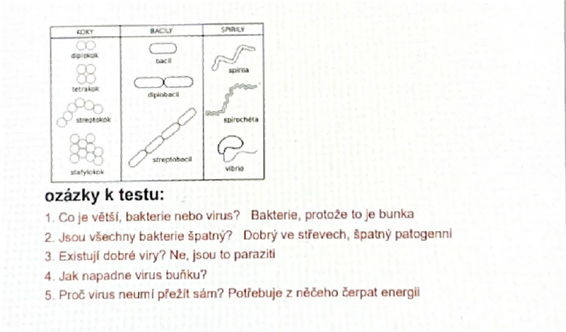 # Viry a Bakterie

1.Viry

- nebuněčná částice o velikosti 15-390mm
- nitrobuněční parazitě neumí sami přežít

**onemocnění:**

- člověk: ch