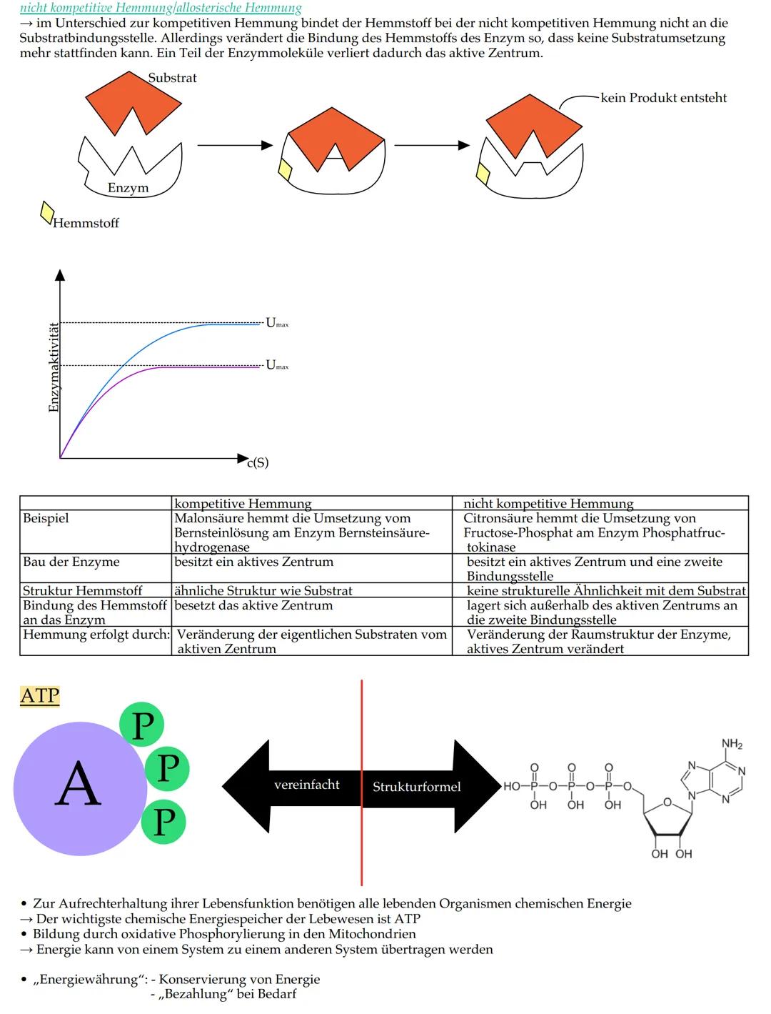 # Merkmale der Lebewesen

• Wachstum

• Fortpflanzung

• Bewegung

• Ernährung

• Stoffwechsel

• Ausscheidung

• Reizbarkeit

• (Lebewesen)