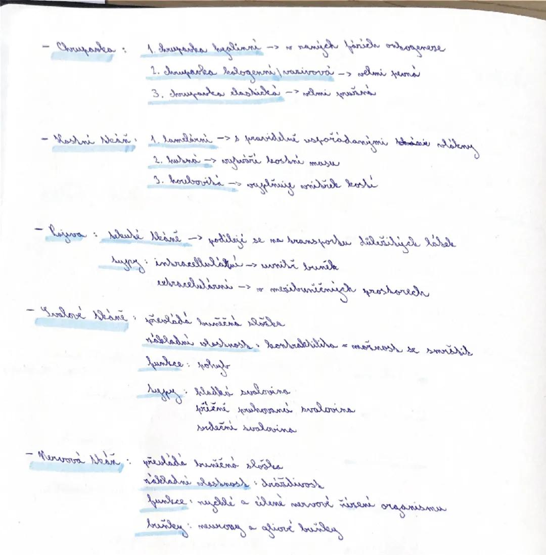 ## Tháně
- soubor buněk skeletního boru funkce a původu
- 2 složky: buněčná
membránová
- typy: epitely, pojivá, svalové, nervové tkáně
- epi