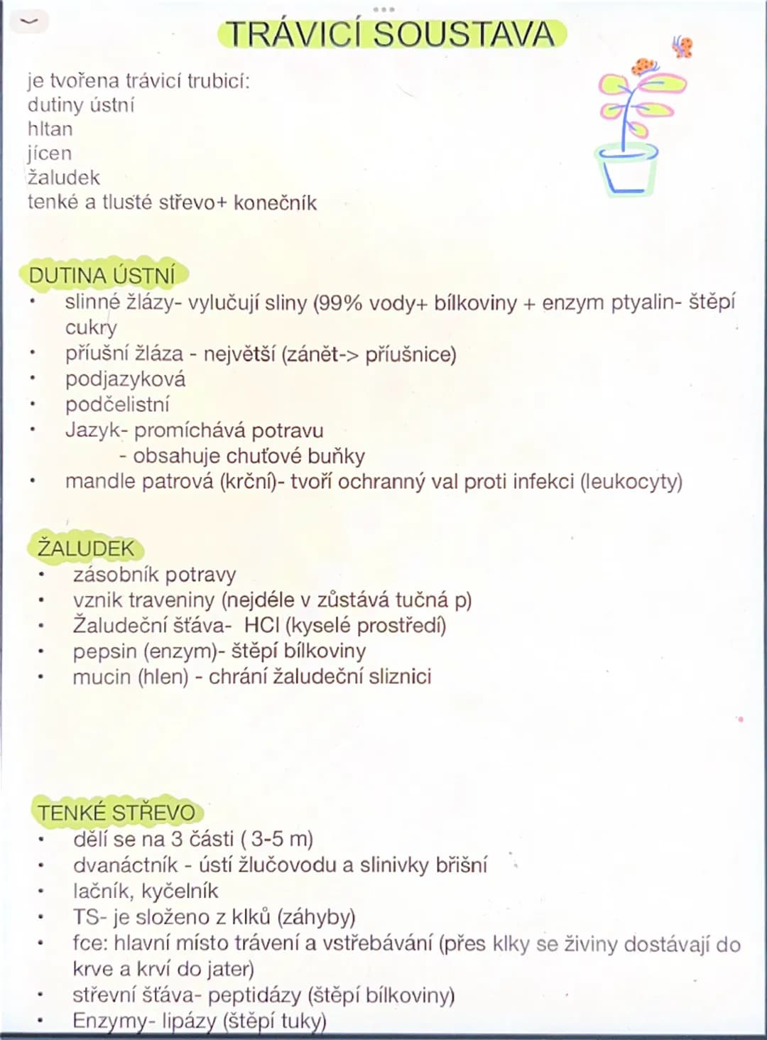 # Dýchací soustava

- výměny plynů O$_2$, CO$_2$
- Dýchací cesty:
- horní dutina nosní, dutina ústní horní
- nosohltan (část hltanu), ústí E