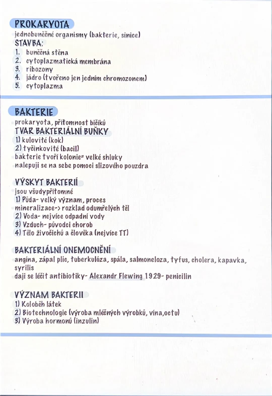 BUŇKY- prokaryota, bakterie, sinice
