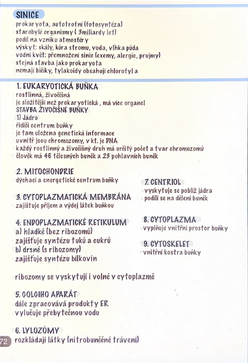 # PROKARYOTA
jednobuněčné organismy (bakterie, sinice)
# STAVBA:
1. buněčná stěna
2. cytoplazmatická membrána
3. ribozony
4. jádro (tvořeno 
