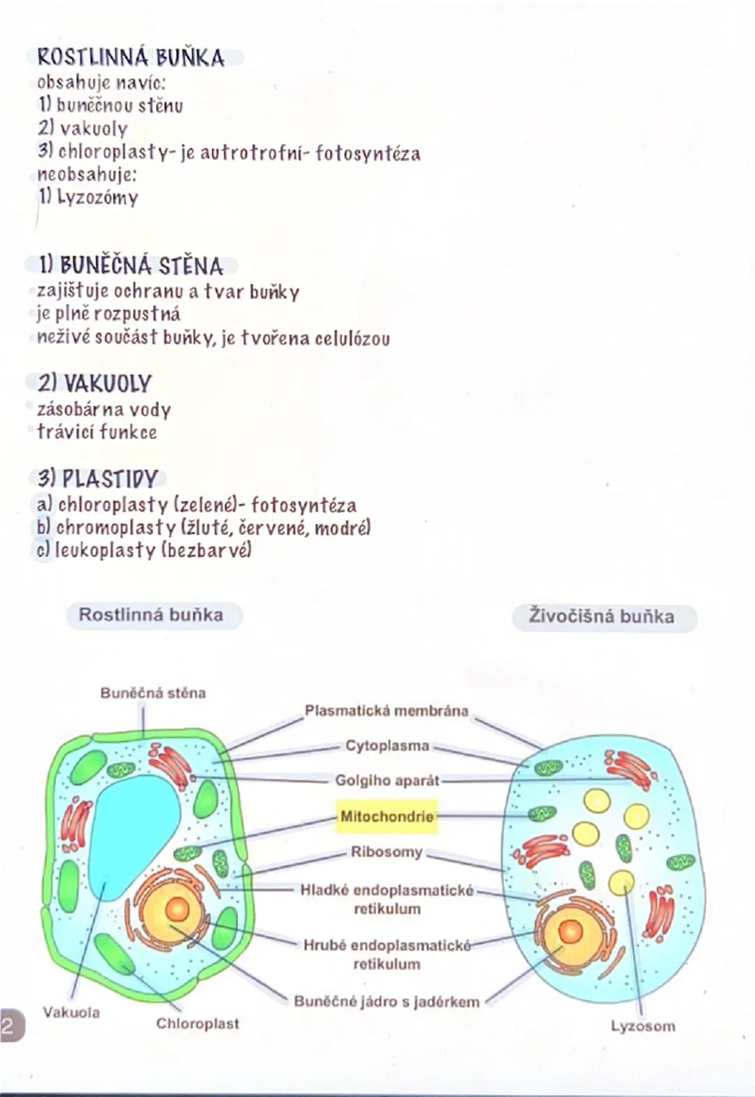 # PROKARYOTA
jednobuněčné organismy (bakterie, sinice)
# STAVBA:
1. buněčná stěna
2. cytoplazmatická membrána
3. ribozony
4. jádro (tvořeno 