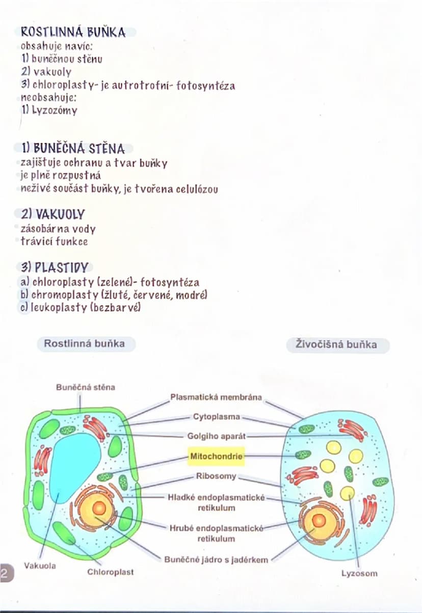 # PROKARYOTA
jednobuněčné organismy (bakterie, sinice)
# STAVBA:
1. buněčná stěna
2. cytoplazmatická membrána
3. ribozony
4. jádro (tvořeno 