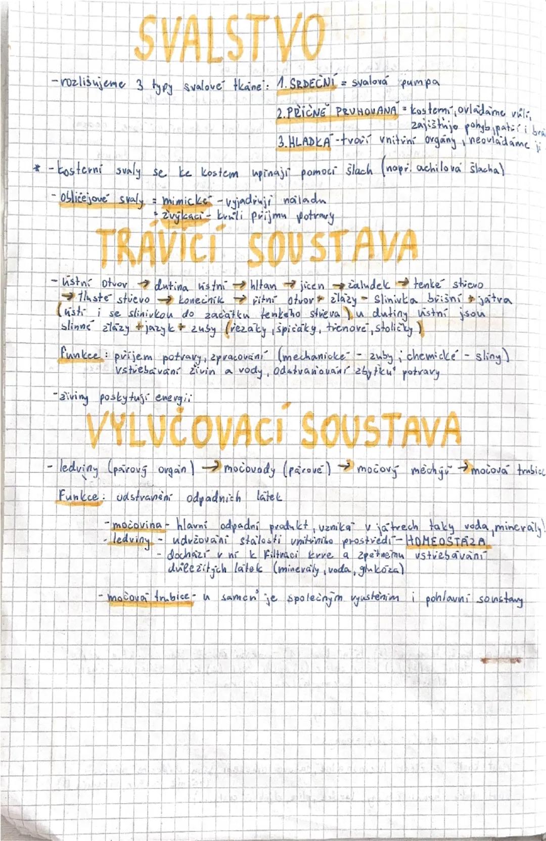 # SAVCI

Vývoj savcu:
- objevují se koncem triasu v druhohovach
-jsou to hmyzožravci, žijících ve skupinách
(v novach) = pruni
- největší vo