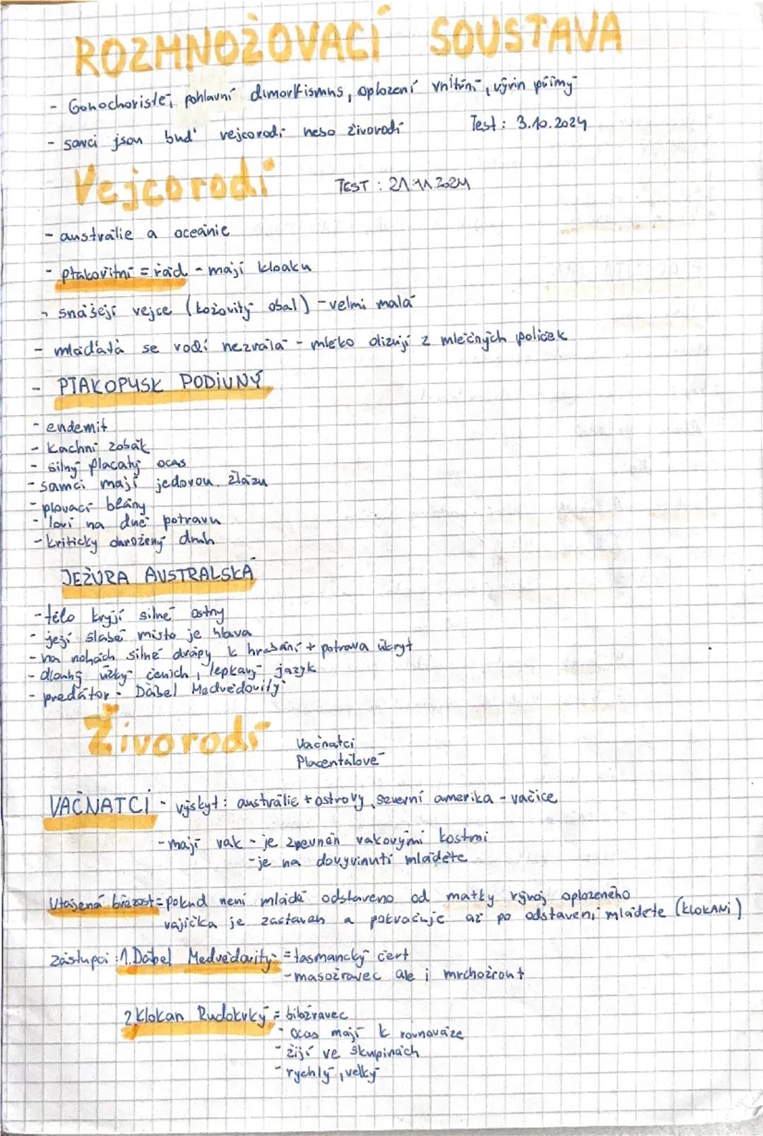 # SAVCI

Vývoj savcu:
- objevují se koncem triasu v druhohovach
-jsou to hmyzožravci, žijících ve skupinách
(v novach) = pruni
- největší vo