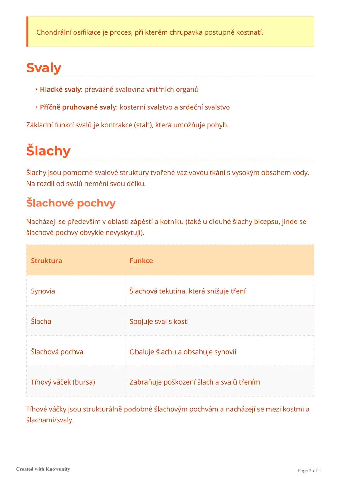 # Základy anatomie

Základní anatomické znalosti pro studium fyzioterapie, zaměřené na strukturu a funkci
šlach, kostí, chrupavek a svalů.

