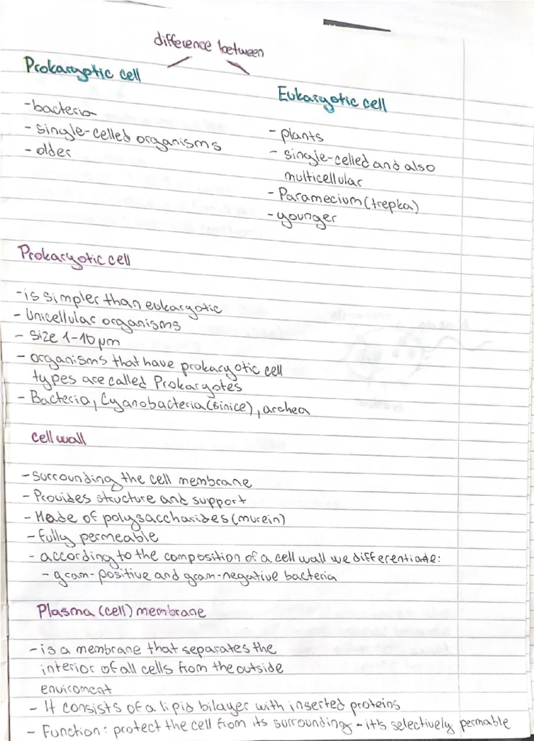 --- OCR Start ---
difference loetween
Prokaryotic cell
-bacteria
Eukaryotic cell
single-celled organisms
oldes
plants
single-celled and also