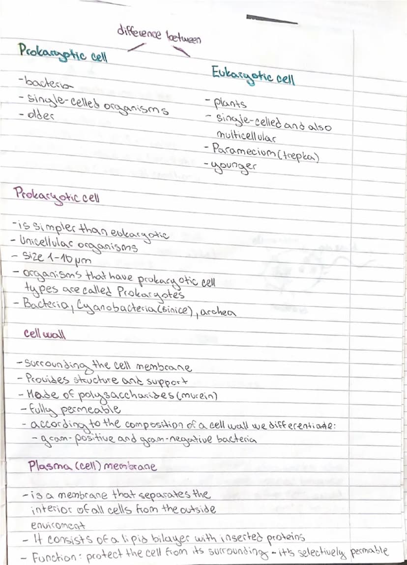 --- OCR Start ---
difference loetween
Prokaryotic cell
-bacteria
Eukaryotic cell
single-celled organisms
oldes
plants
single-celled and also
