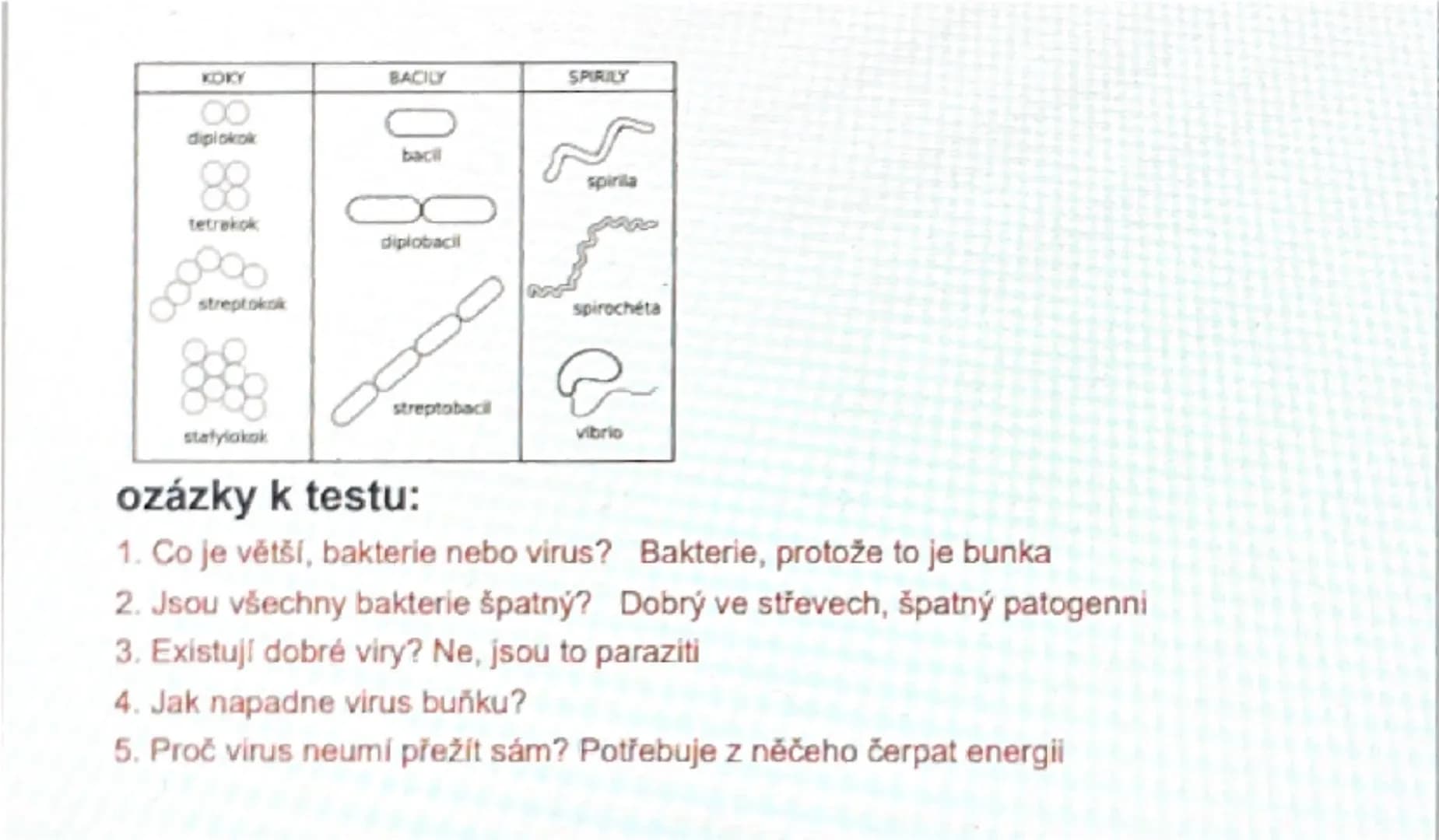 # Viry a Bakterie

1.Viry

- nebuněčná částice o velikosti 15-390mm
- nitrobuněční parazité neumí sami přežít onemocnění:
- člověk: chřipka,