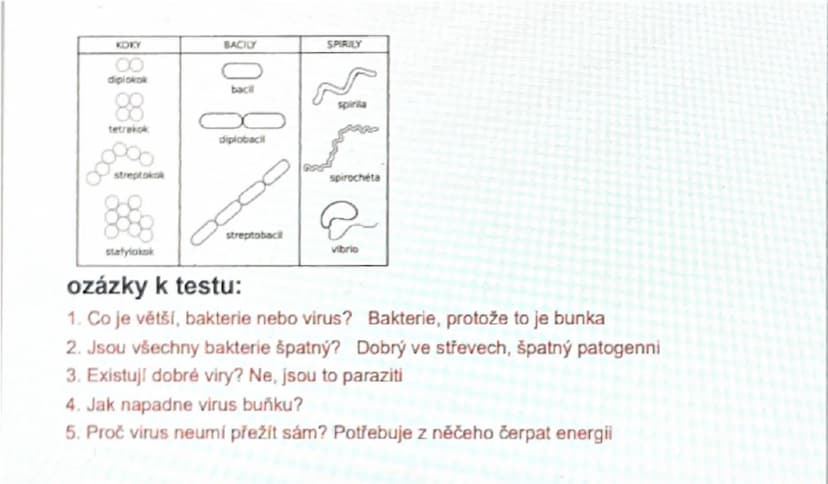 # Viry a Bakterie

1.Viry

- nebuněčná částice o velikosti 15-390mm
- nitrobuněční parazité neumí sami přežít onemocnění:
- člověk: chřipka,