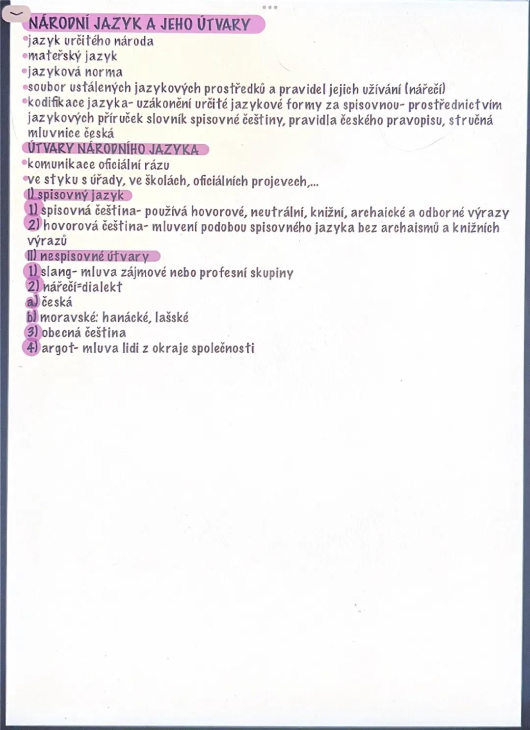 Národní jazyk a jeho typy