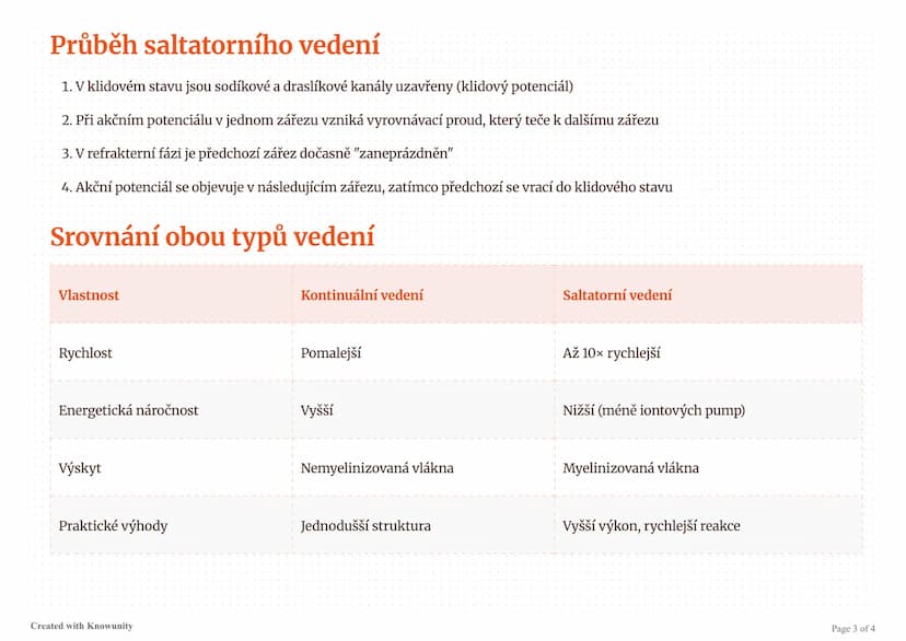 # Vedení vzruchu podél axonu

Vysvětlení mechanismů kontinuálního a saltatorního vedení vzruchu v nervových buňkách.

# Vedení vzruchu podél