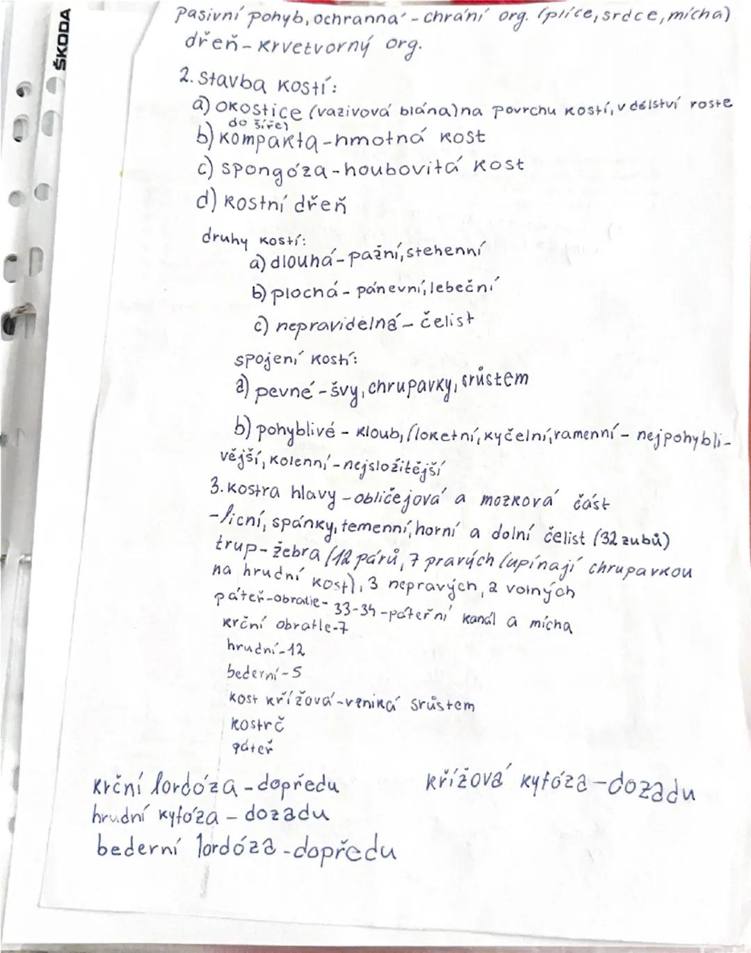 4) Soustava opěrná - funkce, stavba kostí, druhy kostí, popis horní a dolní
končetiny, poškození kostí
základem opěrné soustavy je kostra
FC