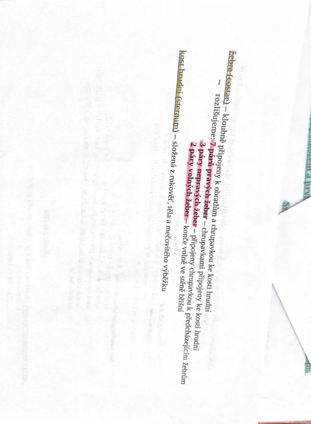 4) Soustava opěrná - funkce, stavba kostí, druhy kostí, popis horní a dolní
končetiny, poškození kostí
základem opěrné soustavy je kostra
FC