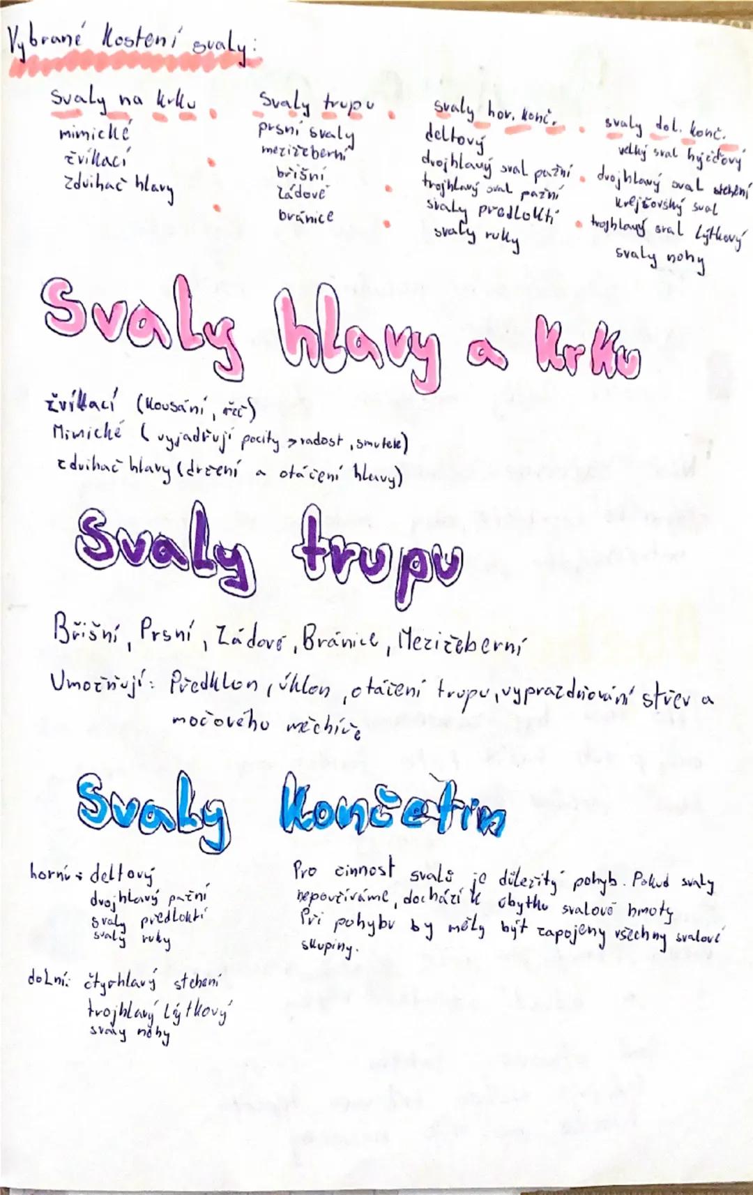 # svalová soustava

600 svali

Funkce: svaly umožňují pohyb a určují
tuar tela

svaly udržují polohu tela

ve svalich se uvolňuje energie a
