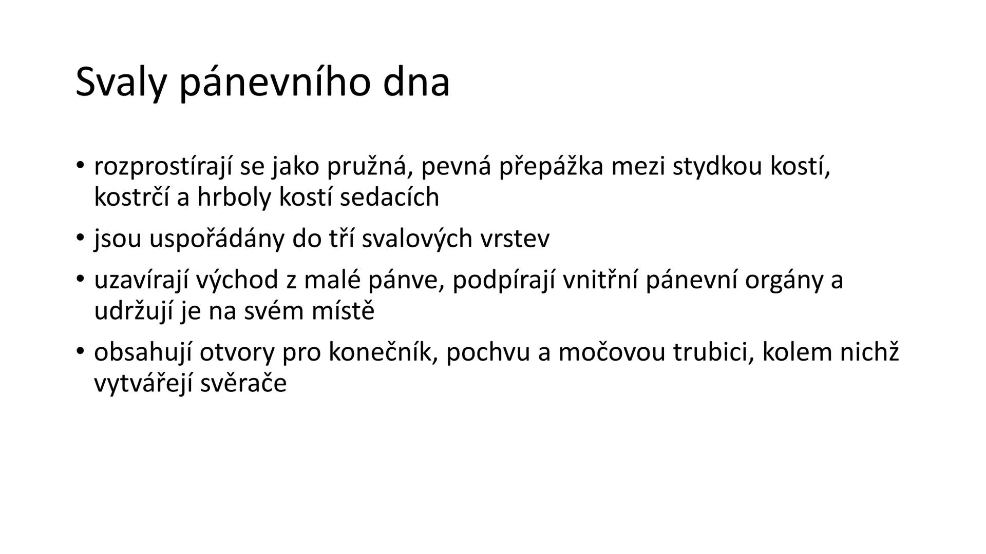 Svalová soustava

SOM ZL

Mgr. Lenka Štorková

kabinet 12 - konzultační hodiny PO 15:05-15:50 Svalová soustava

*   tvoří aktivní pohybový a