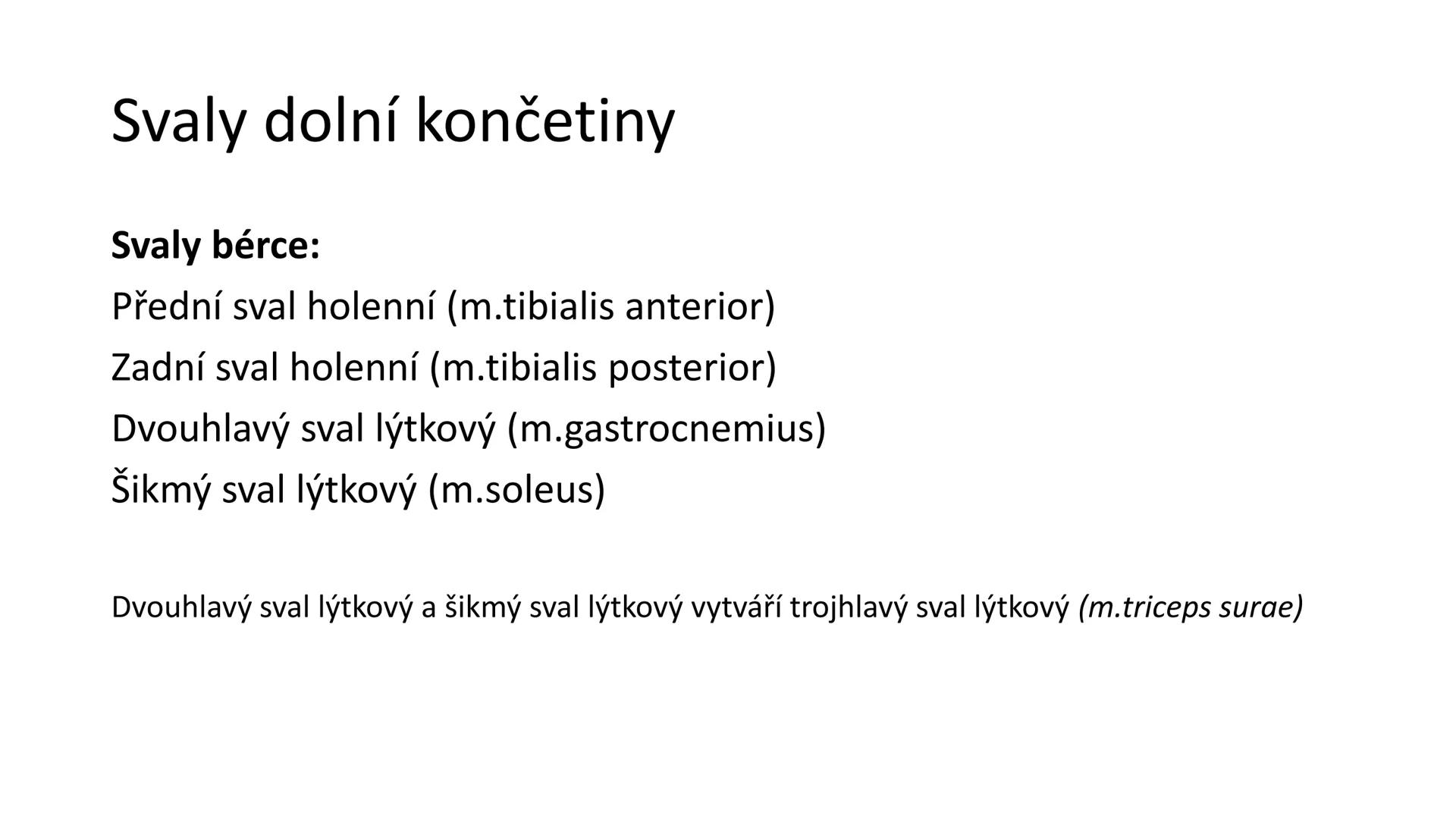 Svalová soustava

SOM ZL

Mgr. Lenka Štorková

kabinet 12 - konzultační hodiny PO 15:05-15:50 Svalová soustava

*   tvoří aktivní pohybový a