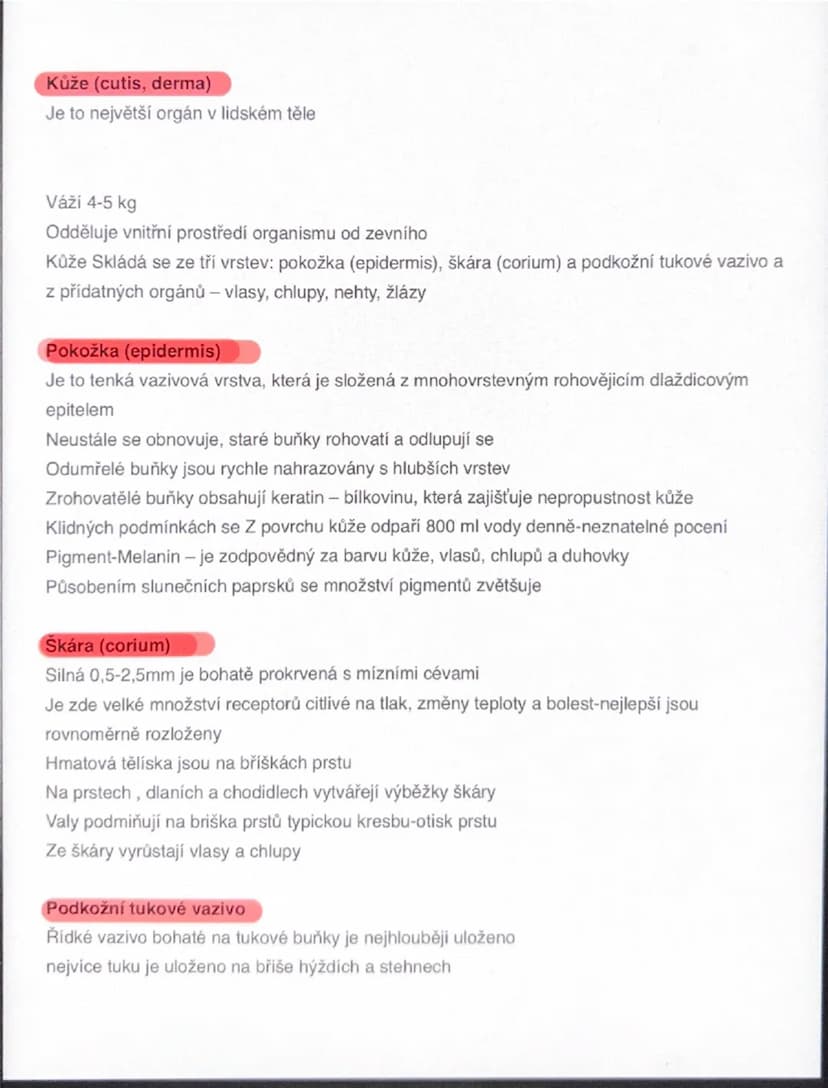 # Kůže (cutis, derma)
Je to největší orgán v lidském těle

Váží 4-5 kg
Odděluje vnitřní prostředí organismu od zevního
Kůže Skládá se ze tří
