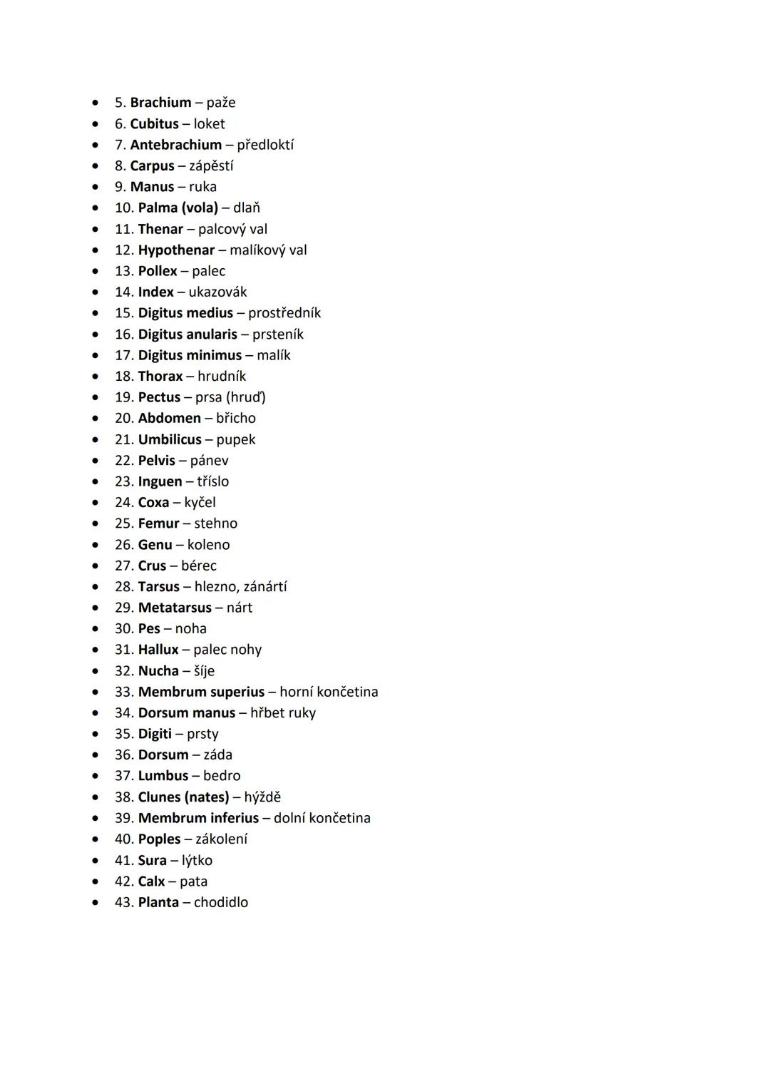 # ZÁKLADNÍ ORIENTACE NA LIDSKÉM TĚLE

-základní anatomická poloha → jemné rozkročení, horní končetiny podél těla s dlaněmi
dopředu a vzpříme