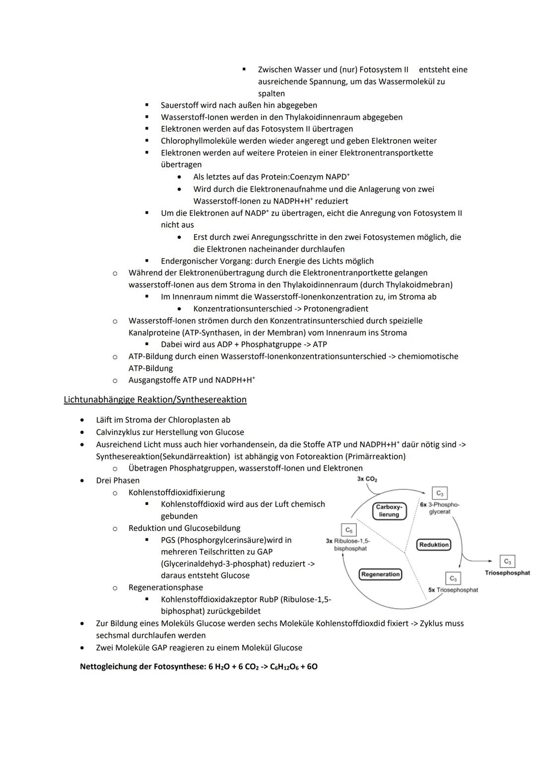 # Ökologie

Definition:

- Wechselwirkungen zwischen Organismen und ihrer Umwelt
- Beziehungen der Organismen untereinander
- Einflüsse von 