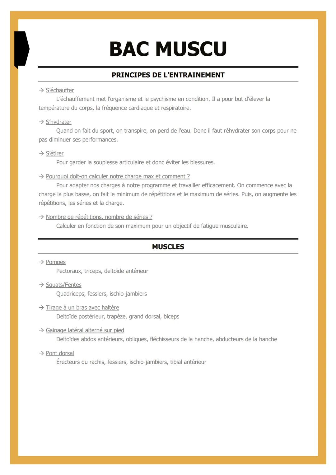 # BAC MUSCU

## PRINCIPES DE L'ENTRAINEMENT

→ S'échauffer

L'échauffement met l'organisme et le psychisme en condition. Il a pour but d'éle