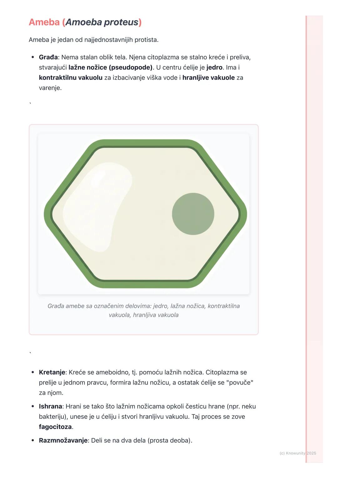 # Protisti

Šta su protisti?

Protisti su grupa organizama koji pripadaju carstvu protista. Oni su eukarioti,
što znači da njihove ćelije im