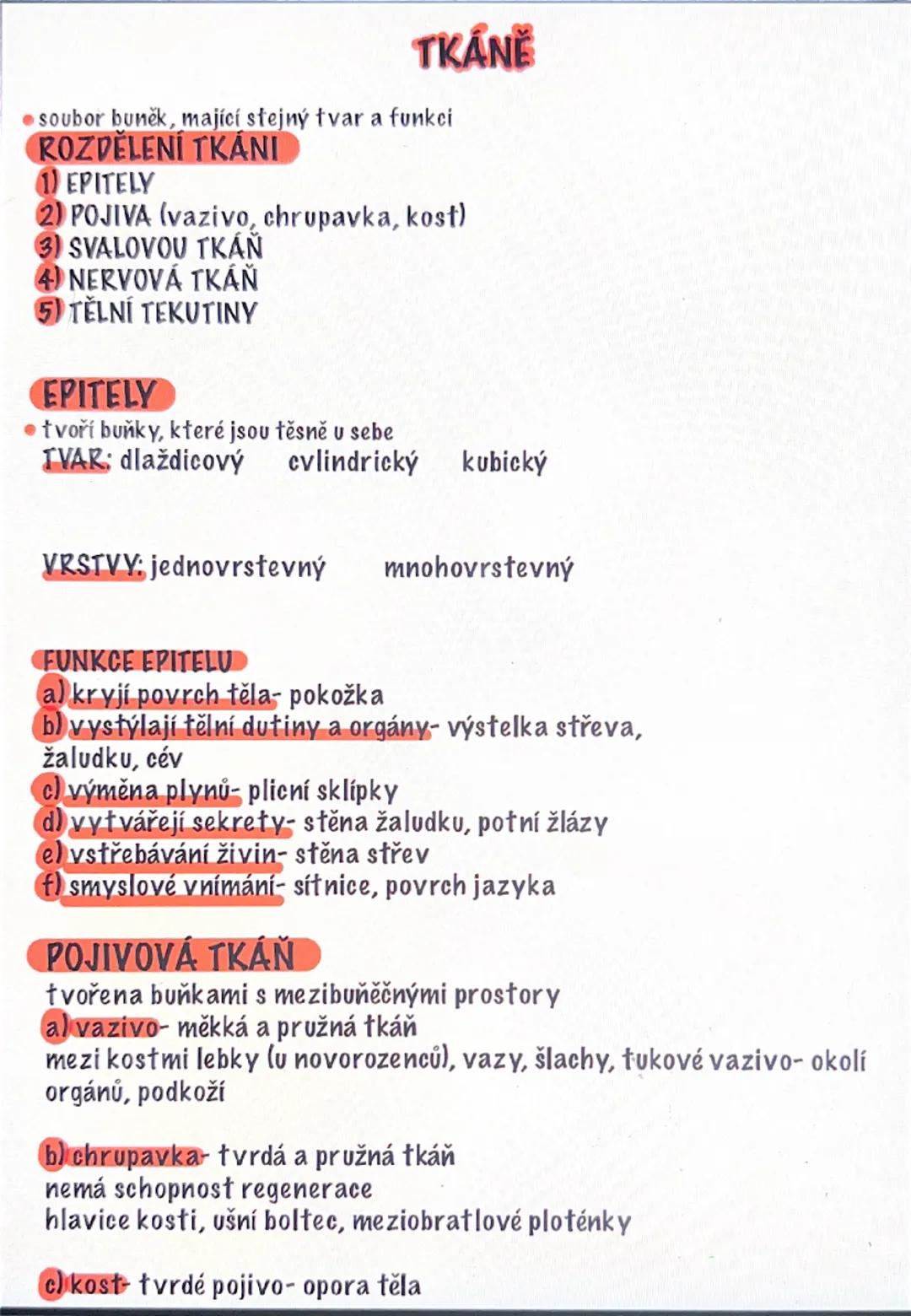# TKÁNĚ
- soubor buněk, mající stejný tvar a funkci
# ROZDĚLENÍ TKÁNI
1) EPITELY
2) POJIVA (vazivo, chrupavka, kost)
3) SVALOVOU TKÁN
4) NER