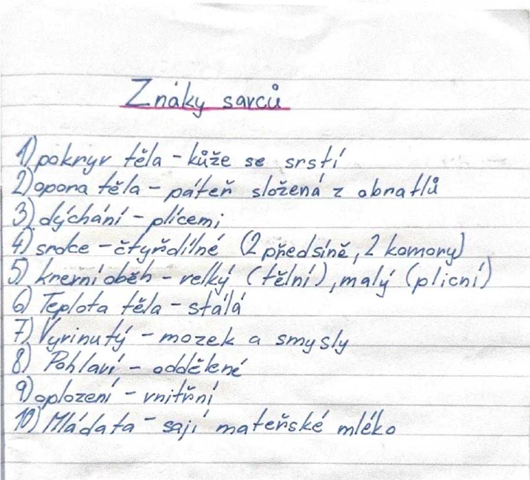 Znaky a funkce savců: Dýchání, krevní oběh a další