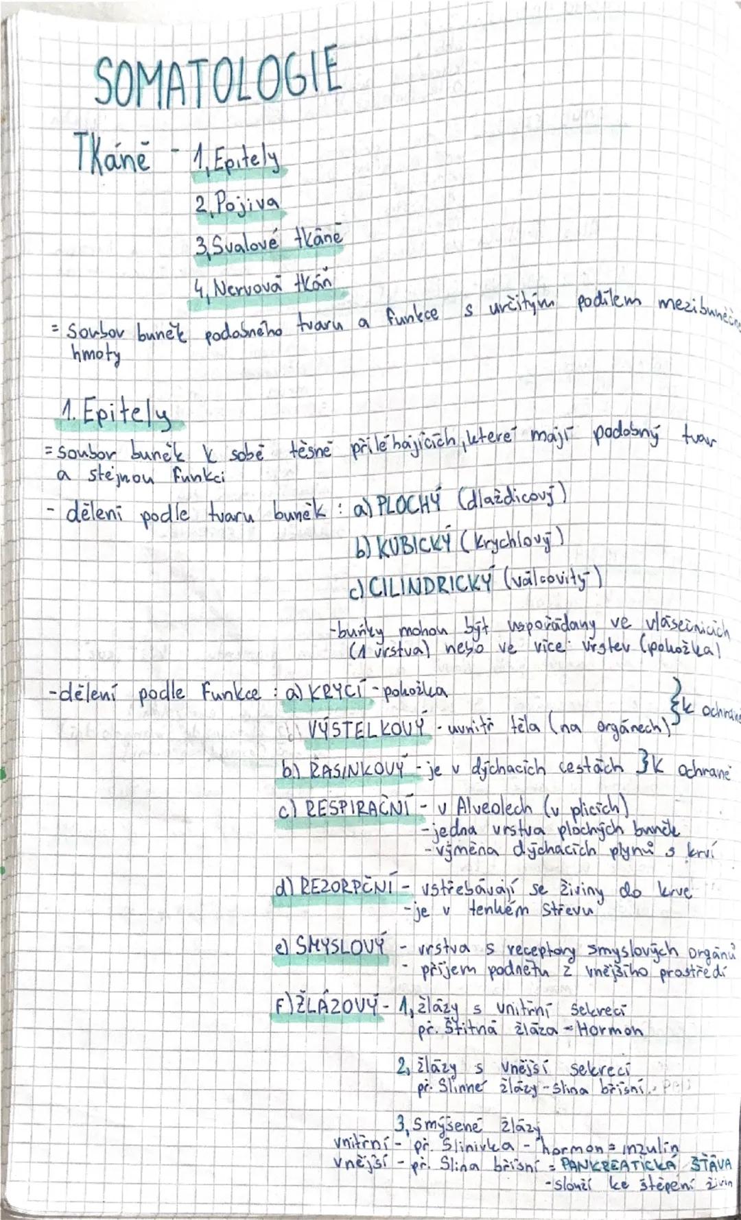# SOMATOLOGIE

Tkáně -1, Epitely

2. Pojiva

3, Svalové tkane

4, Nervova tkan

= Soubor buněk podobného tvaru a funtece s určitým podílem m