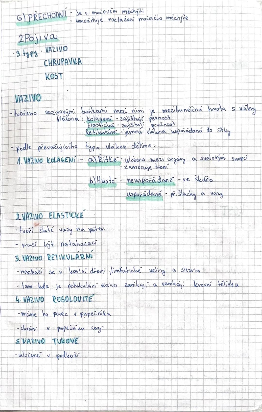 # SOMATOLOGIE

Tkáně -1, Epitely

2. Pojiva

3, Svalové tkane

4, Nervova tkan

= Soubor buněk podobného tvaru a funtece s určitým podílem m