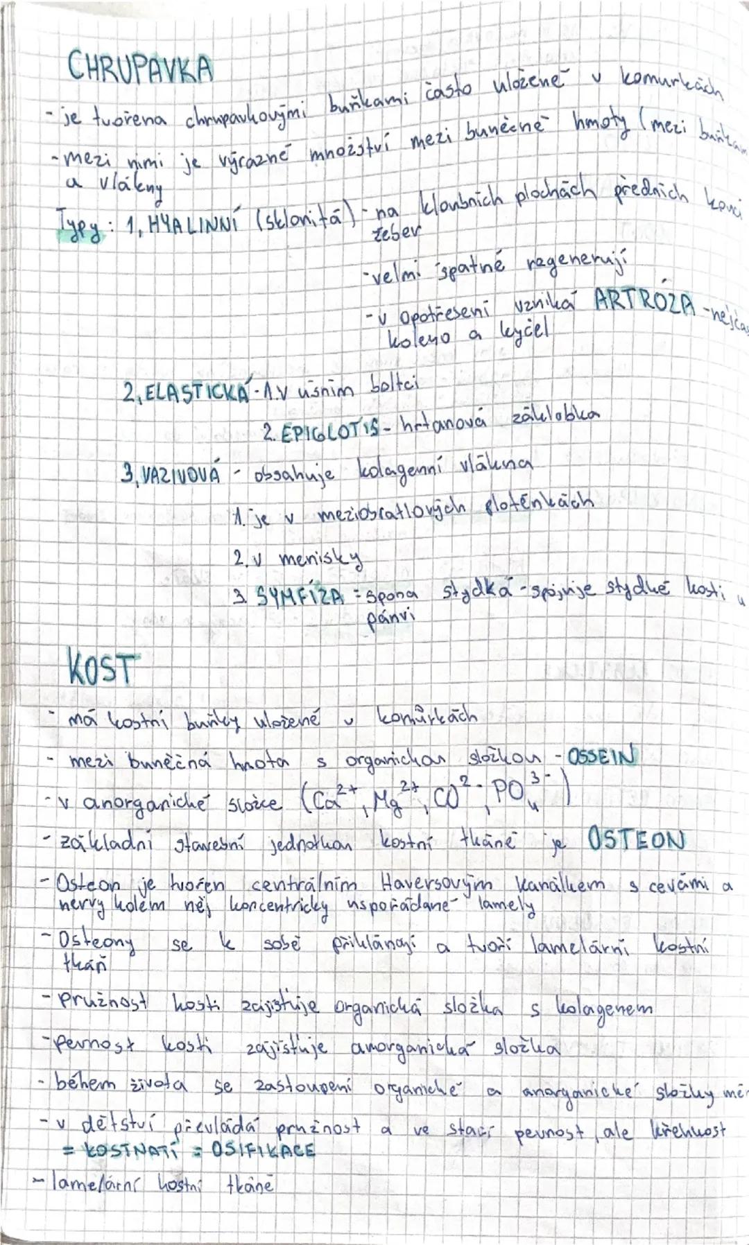 # SOMATOLOGIE

Tkáně -1, Epitely

2. Pojiva

3, Svalové tkane

4, Nervova tkan

= Soubor buněk podobného tvaru a funtece s určitým podílem m