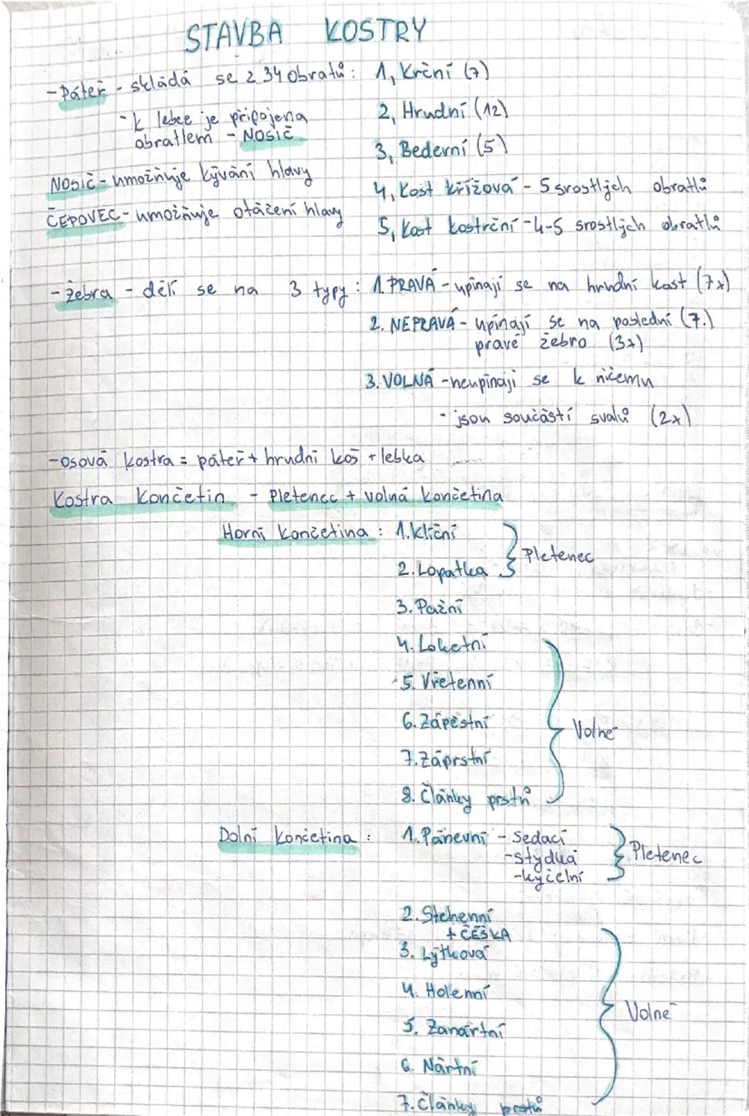 # SOMATOLOGIE

Tkáně -1, Epitely

2. Pojiva

3, Svalové tkane

4, Nervova tkan

= Soubor buněk podobného tvaru a funtece s určitým podílem m