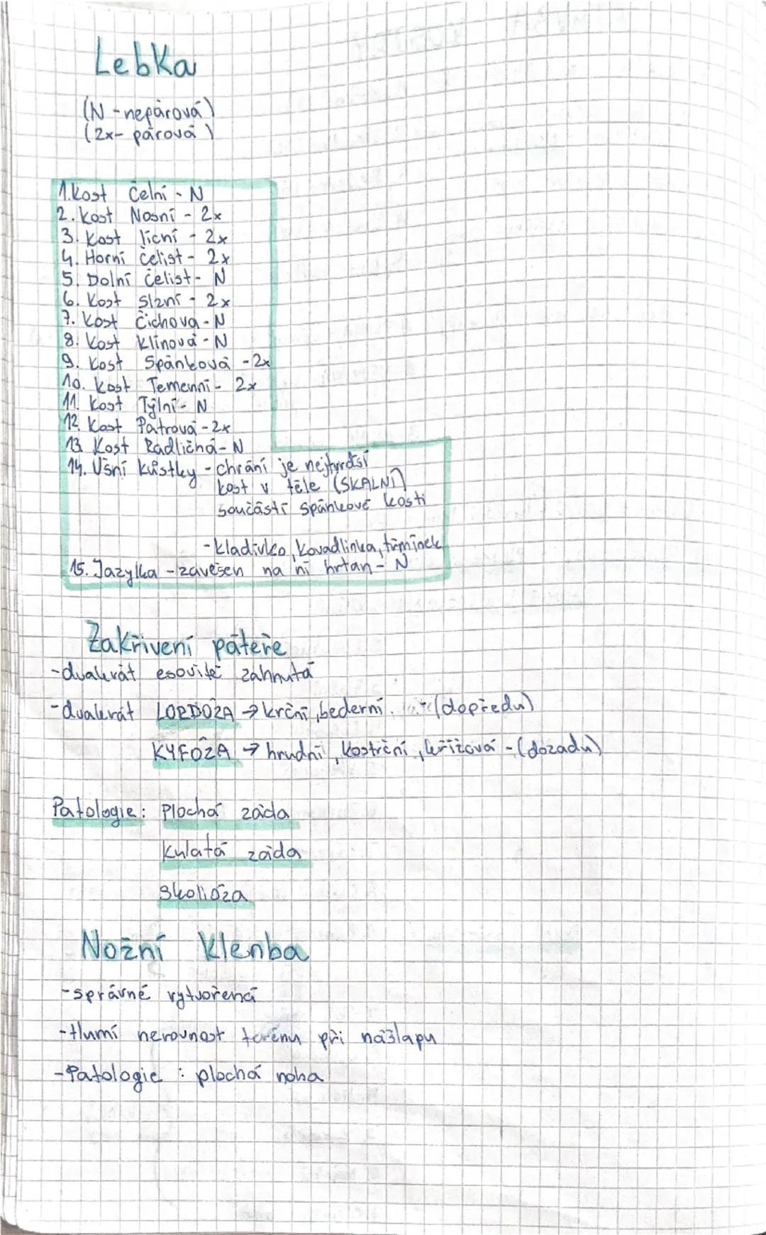 # SOMATOLOGIE

Tkáně -1, Epitely

2. Pojiva

3, Svalové tkane

4, Nervova tkan

= Soubor buněk podobného tvaru a funtece s určitým podílem m