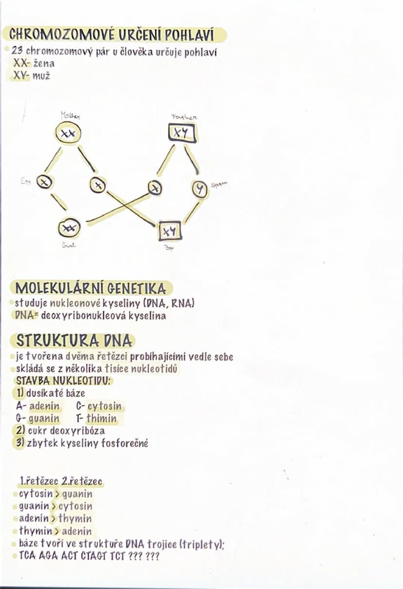 --- OCR Start ---
GENETIKA
⚫věda zabývající se dědičností
DĚDIČNOST
schopnost předávat geny z rodičů na potomky
zakladatel genetiky:
Johan G