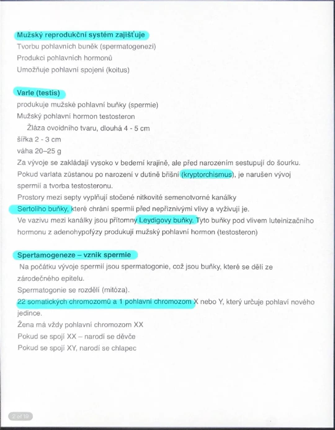 # Mužský reprodukční systém zajišťuje

Tvorbu pohlavních buněk (spermatogenezi)
Produkci pohlavních hormonů
Umožňuje pohlavní spojení (koitu
