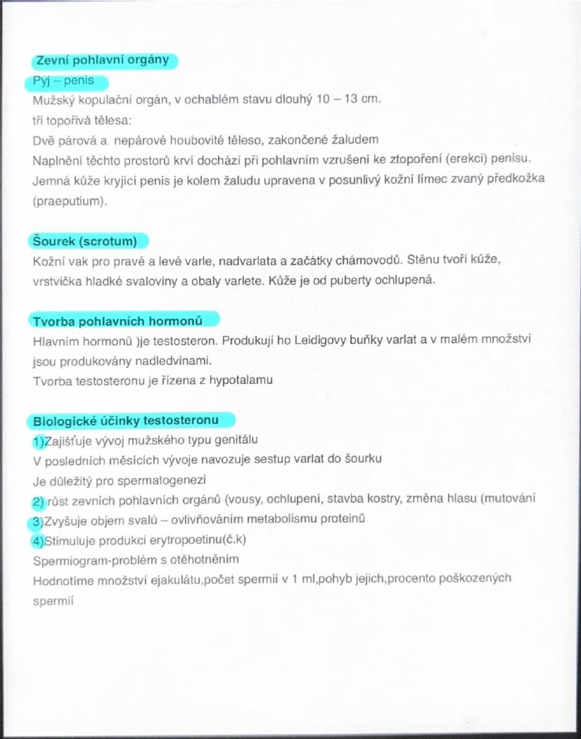 # Mužský reprodukční systém zajišťuje

Tvorbu pohlavních buněk (spermatogenezi)
Produkci pohlavních hormonů
Umožňuje pohlavní spojení (koitu