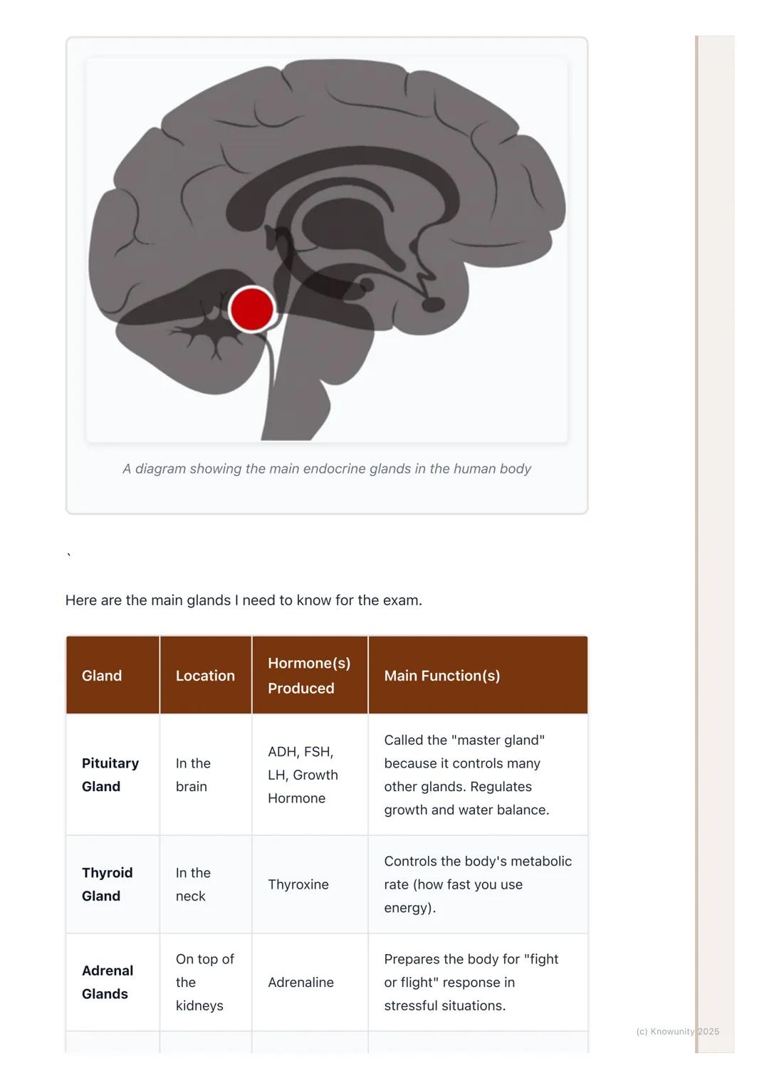 # The Endocrine System and
Hormones

Introduction to the endocrine system

The endocrine system is the second control system of the body, wo