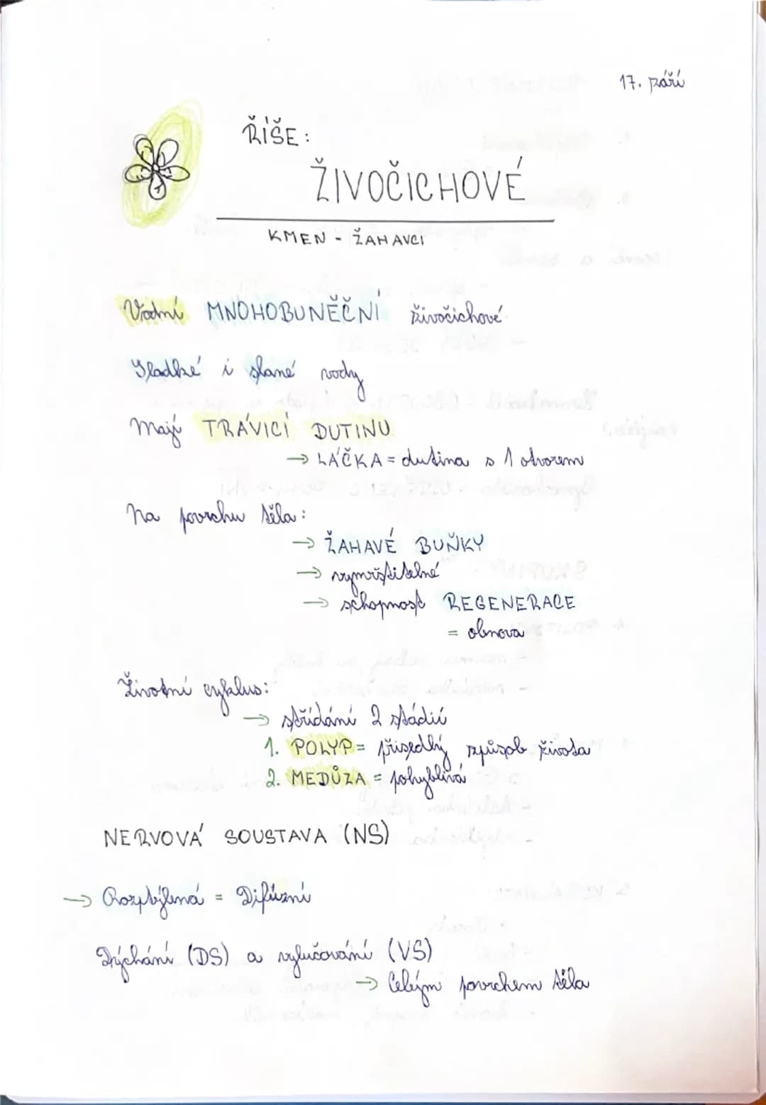 ŘIŠE:

ŽIVOČICHOVÉ

KMEN ZAH AVCI

Vodní MNOHOBUNĚČNÍ živočichové

Sladké i slané vody

máy TRÁVICI DUTINU
→LÁČKA = dutina s 1 otvorem

Na p