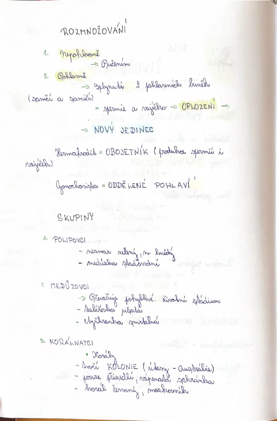 ŘIŠE:

ŽIVOČICHOVÉ

KMEN ZAH AVCI

Vodní MNOHOBUNĚČNÍ živočichové

Sladké i slané vody

máy TRÁVICI DUTINU
→LÁČKA = dutina s 1 otvorem

Na p