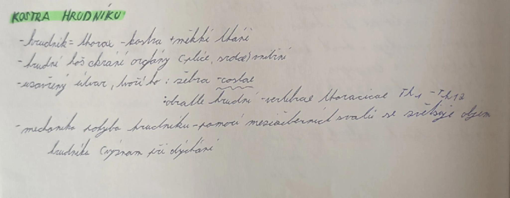 # KOSTRA HRUDNIKU

- brudnik - thorax-kosha nikki Mari
- brudní hos chrání orglary calice, srodermitisi
-usavřený útvar, more bo: sebra cost