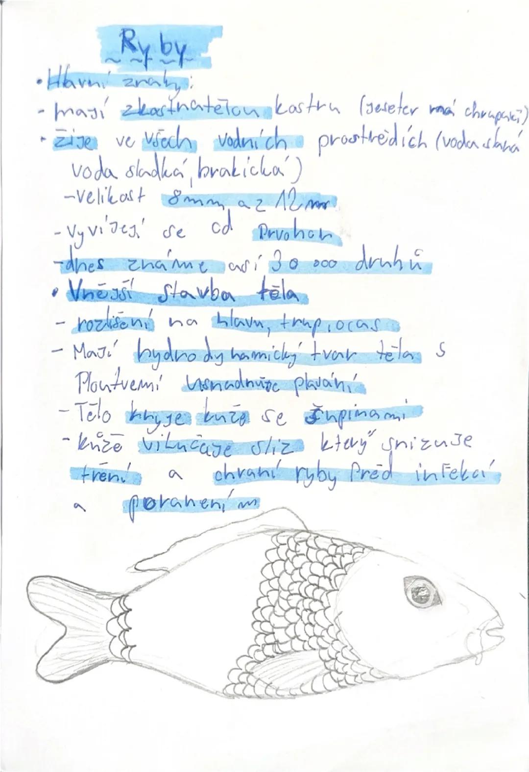 Ryby a jejich biologická stavba