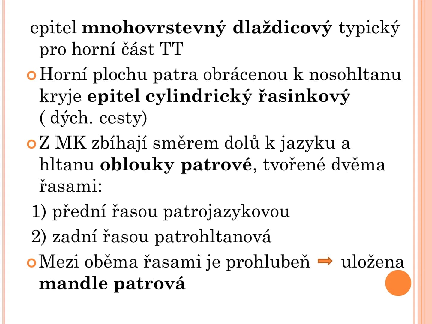 # TRÁVICÍ SOUSTAVA # TRÁVICÍ SOUSTAVA – APPARATUS
# DIGESTORIUS
* TS přijímá, zpracovává a vstřebává živné látky
* TS je nezbytná pro z