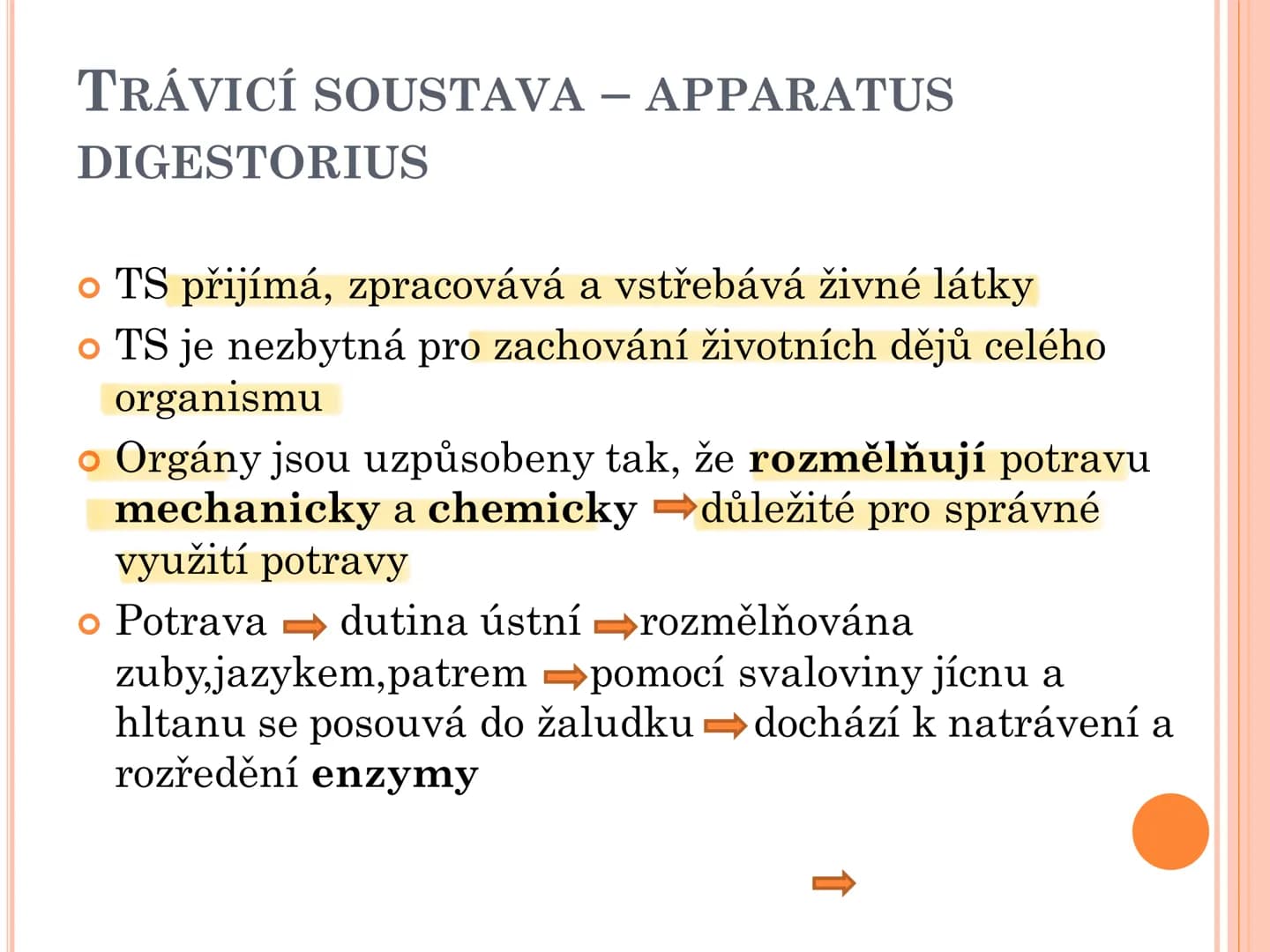 # TRÁVICÍ SOUSTAVA # TRÁVICÍ SOUSTAVA – APPARATUS
# DIGESTORIUS
* TS přijímá, zpracovává a vstřebává živné látky
* TS je nezbytná pro z
