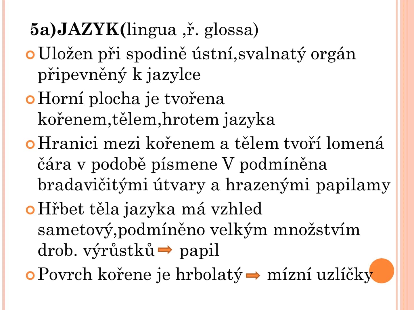 # TRÁVICÍ SOUSTAVA # TRÁVICÍ SOUSTAVA – APPARATUS
# DIGESTORIUS
* TS přijímá, zpracovává a vstřebává živné látky
* TS je nezbytná pro z