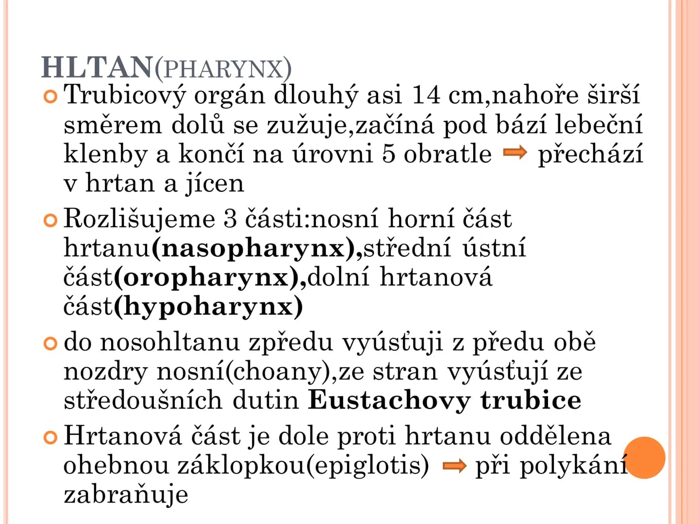 # TRÁVICÍ SOUSTAVA # TRÁVICÍ SOUSTAVA – APPARATUS
# DIGESTORIUS
* TS přijímá, zpracovává a vstřebává živné látky
* TS je nezbytná pro z